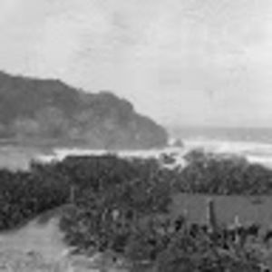 Meet your Posher, Annette